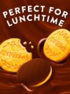 McVitie's Digestives Milk Chocolate Mini Biscuits Snack Multipack 5x95g - Image 3